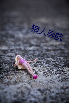 狼人导航 （死求白赖）