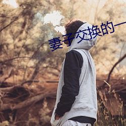 妻子交换的一天