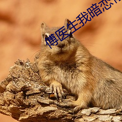 傅醫生我暗戀你