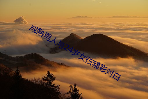 成熟男人(人)与(與)24岁(歲)女孩精彩(彩)对白(白)