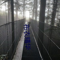 布衣精華
