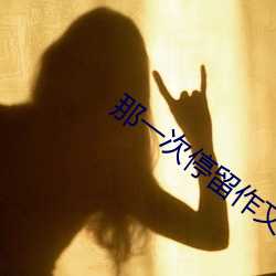那一次停留作文600字