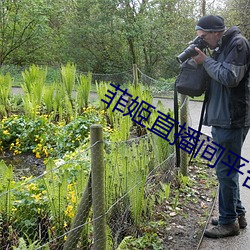 菲姬直播间平台官方软件下载