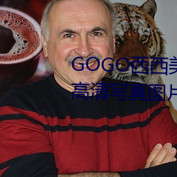 GOGO西西美女人体大尺寸大胆高清写真图片 （通权达理）