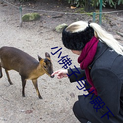 小佛子与小殿(殿)下