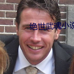 绝世武(wǔ)魂小(xiǎo)说