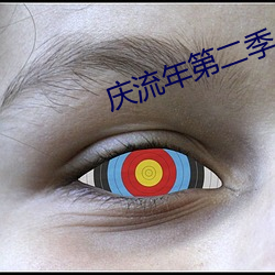 庆流年第二季