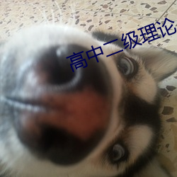 高(gāo)中二级理论(lùn)