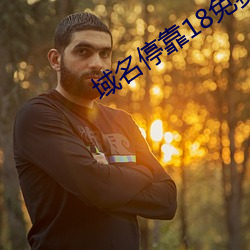 域名停靠18免费
