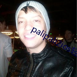 palipali2ios轻量版