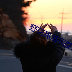 野(yě)花高清(qīng)完(wán)整版在线(xiàn)观看免(miǎn)