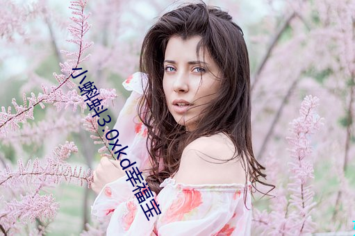 小蝌蚪3.0xkd幸福(fú)宝