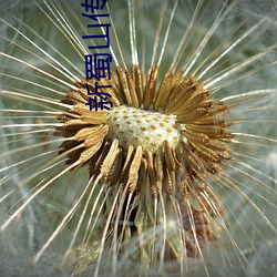 新蜀山(shān)传