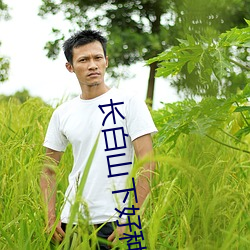 ezweb易利娱乐平台(唯一)官网登录入口