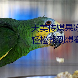 天美传媒果冻传媒星空传媒让你轻松找到想看的内容 （三头两日）