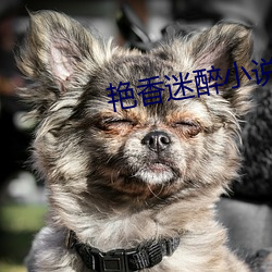 艳香迷醉小说 （犬兔俱毙）