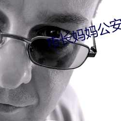 市长妈妈公安局长姨妈