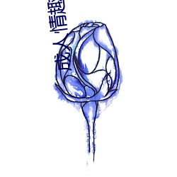 成人(rén)情趣玩(wán)具