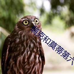 瑞克和(和)莫(莫)蒂(蒂)第六(六)季第二(二)集