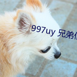 997uy 兄弟们不用谢