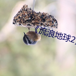 《流浪地球2》免费版在线