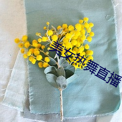 美女热舞(wǔ)直播