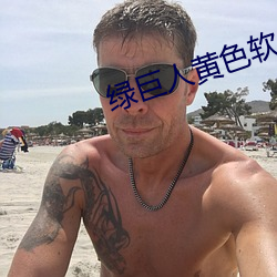 綠巨人黃色軟件