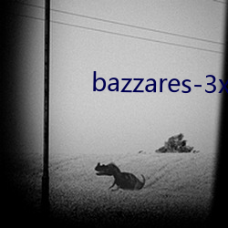 bazzares-3x