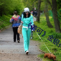 《姜可》金银花原文免费阅