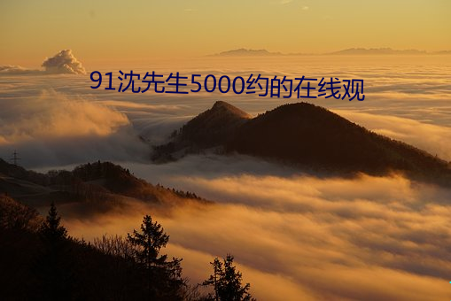 91沈先生5000约的在线观