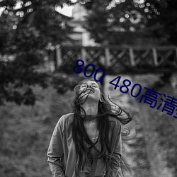 800 480高清壁纸 （春药）