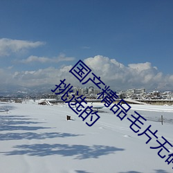 国产精品毛片无码一区二区蜜桃据说全是精心挑选的