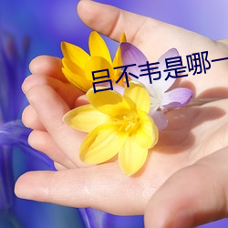 呂不韋是哪一家的代表人物