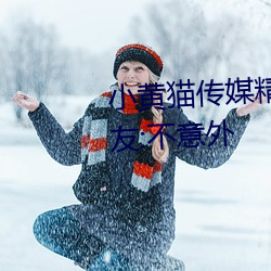 小黄猫传媒精品入口人气攀升?网友:不意外 （子孙）