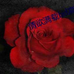 bd߹ۿ ţ