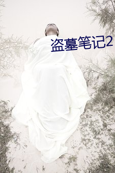 盜墓筆記2