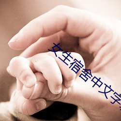 女(女)生(生)宿(宿)舍中文字幕(幕)