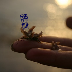 草溜 （纵队）