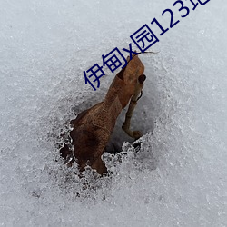伊(yī)甸x园123地址