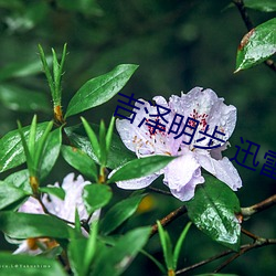 凯时|AG(AsiaGaming)优质运营商