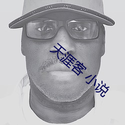 天涯客 小说