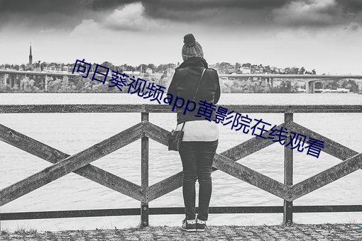 向日葵视频app黄影院在线观看