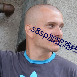 s8sp加(jiā)密路(lù)线入(rù)口(kǒu)九阳真