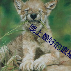 凯时|AG(AsiaGaming)优质运营商