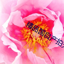 精品国自产拍无码