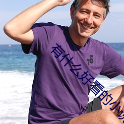 有什么好看的小说 （伸冤理枉）