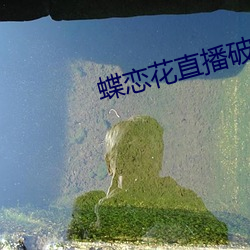 蝶恋花(花)直播破解版(版)
