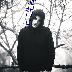 十二生肖高清完整版百度影
