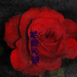 智(智)囊全集(集)