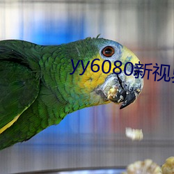 yy6080新视界(jiè)影视影院